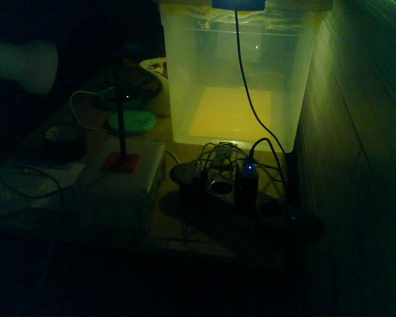 Foto 7