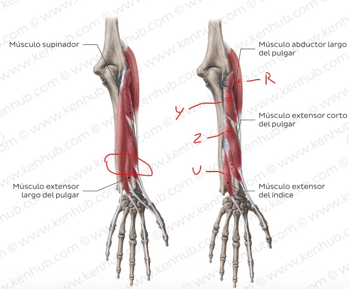 Foto 348